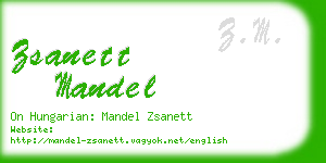 zsanett mandel business card